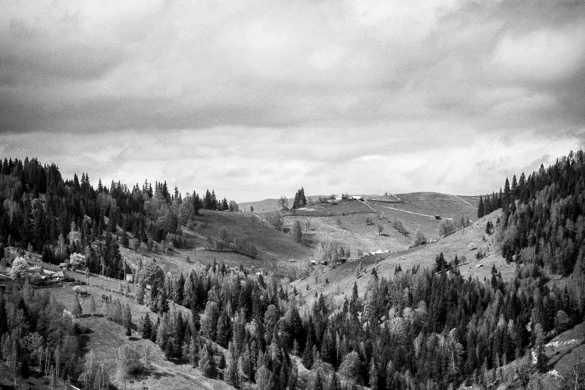 Neo-Customizing Process